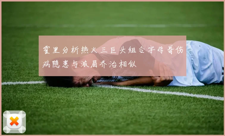 霍里分析热火三巨头组合字母哥伤病隐患与浓眉乔治相似