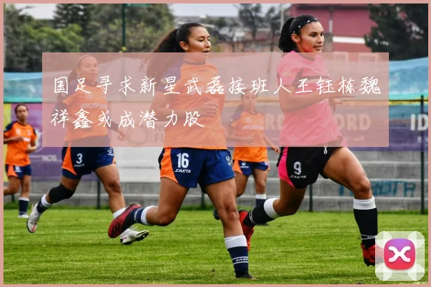 国足寻求新星武磊接班人王钰栋魏祥鑫或成潜力股