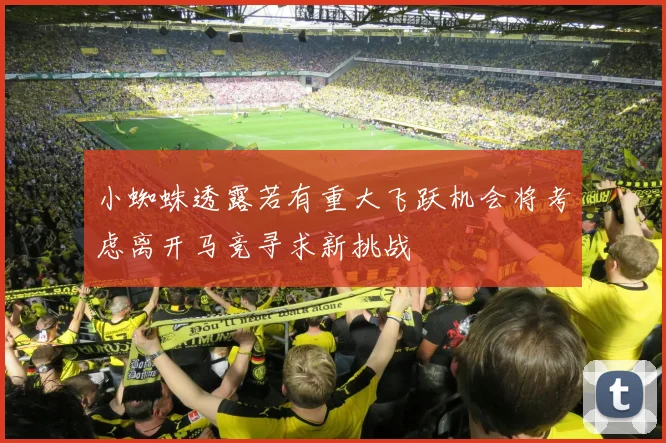 小蜘蛛透露若有重大飞跃机会将考虑离开马竞寻求新挑战